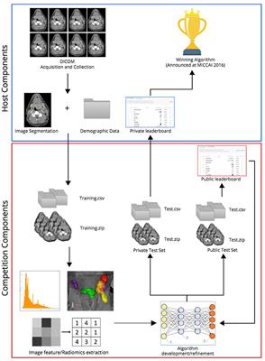 Machine Learning Applications in Head and Neck Radiation Oncology: Lessons From Open-Source Radiomics Challenges